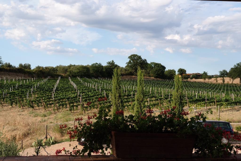 Podere Fingardella Pensjonat Paganico Zewnętrze zdjęcie